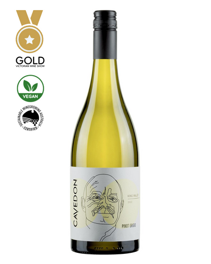 2024 Cavedon Pinot Grigio 750ml