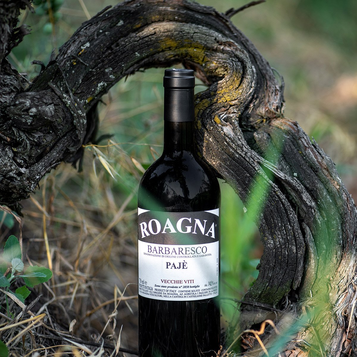 2019 Roagna Paje Vecchie Viti Barbaresco DOCG 750ml